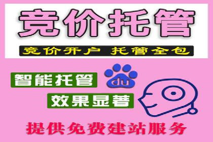 初学者的百度竞价推广：成功案例揭秘